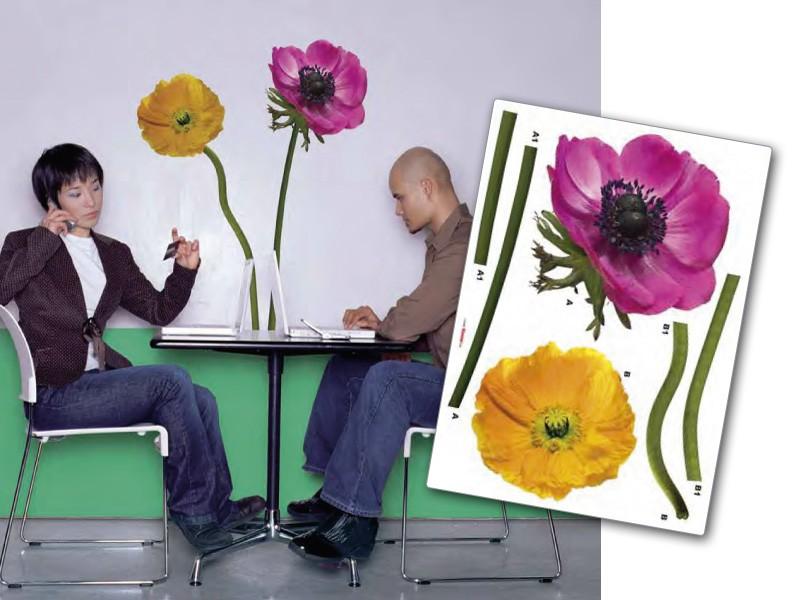 17012 Komar Anemone Wall Sticker